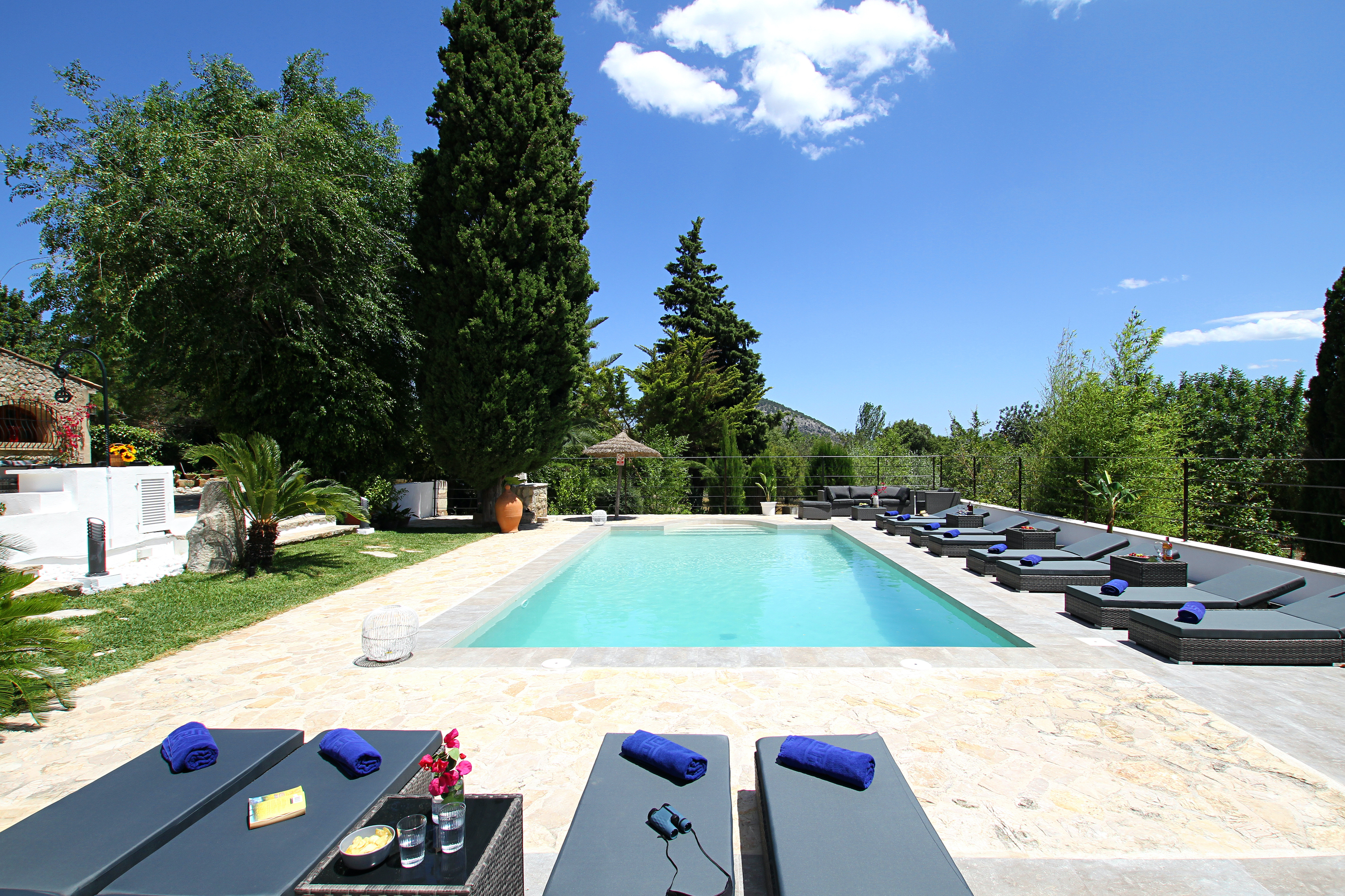 Pool after renovation